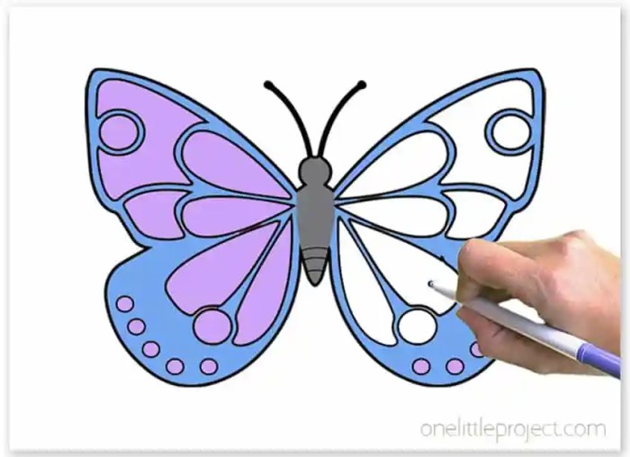 Butterfly coloring sheet for kids