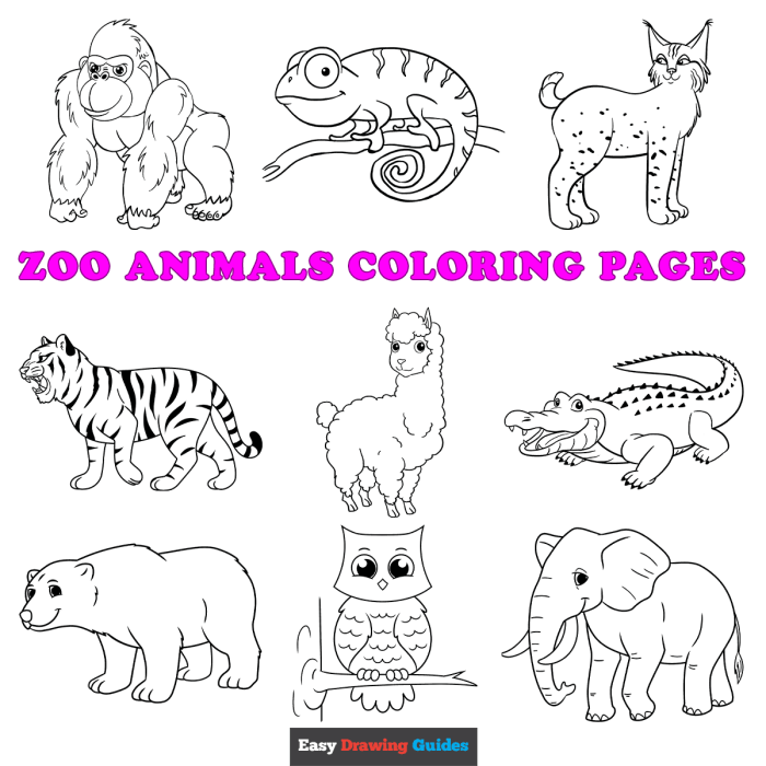 Free printable coloring pages for kids animals